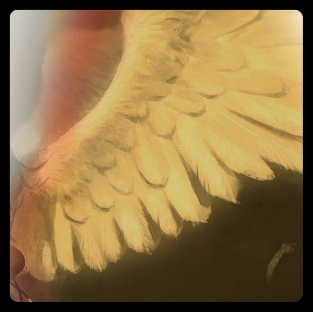 Meet your Posher, Sage